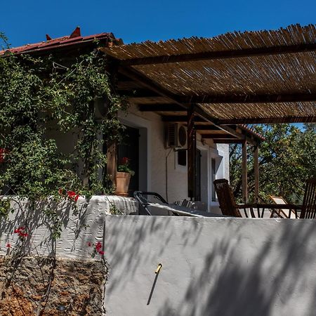 Sun&Sea Villas - Sea Vingláfia Екстериор снимка